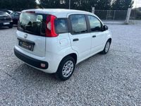 usata Fiat Panda 1.2 Easy