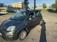 Usata Fiat Panda Easy 69 CV (50 kW) 2019 Utilitaria