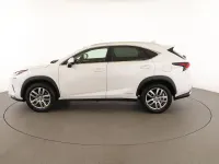 Usata Lexus NX300h Executive Line 197 CV (144 kW) 2017 Bianco SUV