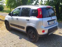 Usata Fiat Panda 4x4 S 95 CV (69 kW) 2017 Grigio Utilitaria