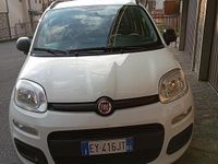 Usata Fiat Panda 69 CV (50 kW) 2015 Bianco Utilitaria