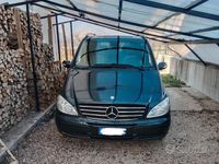 usata Mercedes Viano vito