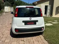 Usata Fiat Panda Pop 69 CV (50 kW) 2019 Bianco Utilitaria