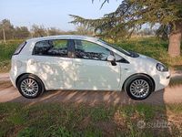 Usata Fiat Punto Evo 85 CV (62 kW) 2013 Bianco Utilitaria