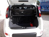 Usata Fiat Panda Sport 70 CV (51 kW) 2022 Bianco Utilitaria