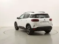 Usata Citroën C5 Aircross Shine 131 CV (96 kW) 2023 Bianco SUV