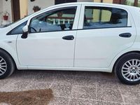 Usata Fiat Punto Lounge 69 CV (50 kW) 2016 Utilitaria