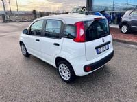 Usata Fiat Panda Easy 69 CV (50 kW) 2020 Bianco Utilitaria