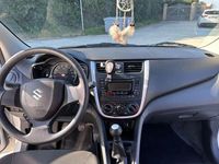 Usata Suzuki Celerio Cool 68 CV (50 kW) 2019 Bianco Utilitaria
