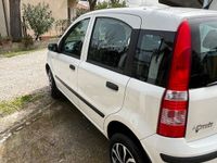 usata Fiat Panda 1.2 Non fumatore