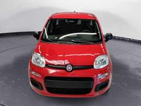 Nuova Fiat Panda Icon 65 CV (47 kW) 2026 Rosso passione pastello Utilitaria