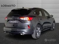 Usata Ford Kuga ST-Line 150 CV (110 kW) 2023 Grigio SUV