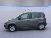 Usata Fiat Panda Easy 70 CV (51 kW) 2020 Nero metallizzato Utilitaria