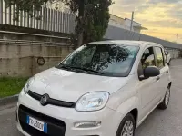 Usata Fiat Panda Lounge 69 CV (50 kW) 2017 Beige Utilitaria