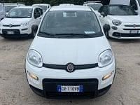 Käytetty Fiat Panda S 69 HP (50 kW) 2023 Valkoinen Viistoperä