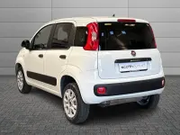 Usata Fiat Panda 4x4 Pop 84 CV (61 kW) 2020 Bianco Utilitaria
