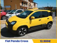 Usata Fiat Panda Cross Cross 71 CV (52 kW) 2024 Giallo Utilitaria