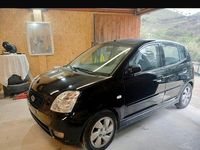 Usata Kia Picanto 61 CV (44 kW) 2006 Nero Utilitaria