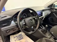 Usata Skoda Scala 95 CV (69 kW) 2023 Grigio Utilitaria