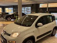 Usata Fiat Panda Easy 71 CV (52 kW) 2020 Bianco Utilitaria