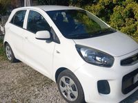 Usata Kia Picanto 67 CV (49 kW) 2016 Bianco Utilitaria