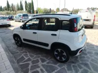 Usata Fiat Panda Cross Cross 70 CV (51 kW) 2022 Bianco Utilitaria
