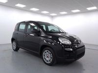 usata Fiat Panda 1.2 easypower Gpl s&s 69cv