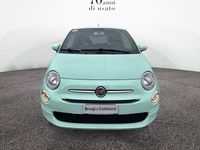 Usata Fiat 500 Lounge 70 CV (51 kW) 2021 Verde Utilitaria
