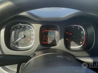 Usata Fiat Panda 69 CV (50 kW) 2019 Grigio Utilitaria