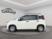 Usata Fiat Panda Lounge 75 CV (55 kW) 2013 Bianco Berlina