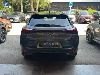 Usata Lexus UX 184 CV (135 kW) 2023 Other SUV