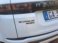 Usata Land Rover Range Rover evoque SE Dynamic 179 CV (131 kW) 2020 SUV