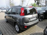 Usata Fiat Panda Lounge 95 CV (69 kW) 2018 Grigio Utilitaria
