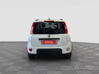 Usata Fiat Panda City Life 69 CV (50 kW) 2021 Bianco Utilitaria