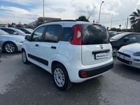 Usata Fiat Panda Lounge 74 CV (54 kW) 2015 Bianco Utilitaria