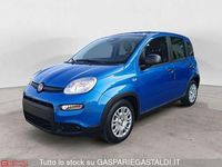 Nuova Fiat Panda Icon 69 CV (50 kW) 2025 Blu/azzurro Utilitaria