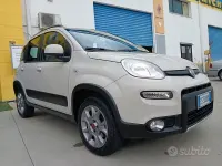 Usata Fiat Panda 4x4 75 CV (55 kW) 2013 Beige Utilitaria