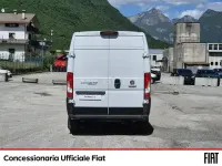Usata Fiat Ducato 160 CV (117 kW) 2020 Bianco Furgone
