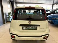 Usata Fiat Panda Cross Cross 69 CV (50 kW) 2022 Bianco Utilitaria