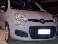 Usata Fiat Panda Easy 69 CV (50 kW) 2020 Grigio Utilitaria
