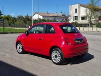 Usata Fiat 500 Lounge 70 CV (51 kW) 2020 Bianco gelato Utilitaria