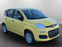 Nuova Fiat Panda Icon 65 CV (47 kW) 2026 Giallo biricchino Utilitaria