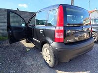 Usata Fiat Panda 60 CV (44 kW) 2008 Utilitaria