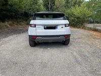 Usata Land Rover Range Rover evoque Pure 150 CV (110 kW) 2017 SUV