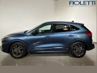 Gebraucht Ford Kuga ST-Line X 225 PS (165 kW) 2023 Blau SUV