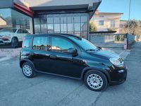 Usata Fiat Panda City Life 69 CV (50 kW) 2023 Nero Utilitaria
