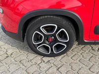 Usata Fiat Panda City Life 70 CV (51 kW) 2021 Rosso Utilitaria