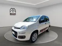 Usata Fiat Panda 4x4 Pop 85 CV (62 kW) 2019 Bianco Utilitaria
