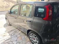 Usata Fiat Panda 69 CV (50 kW) 2021 Grigio Utilitaria