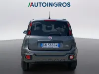 Usata Fiat Panda Cross Cross 69 CV (50 kW) 2023 Grigio Utilitaria